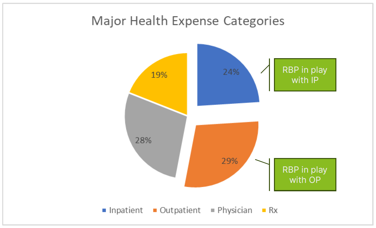 Chart of major health expense categories